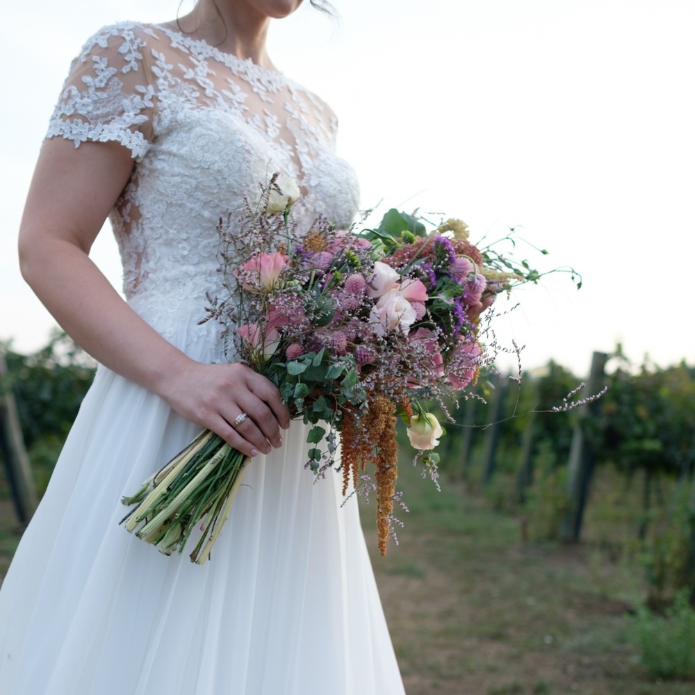 Pronovias Diana Wedding Gown